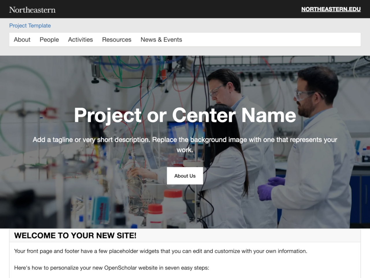 Northeastern Project Site screenshot